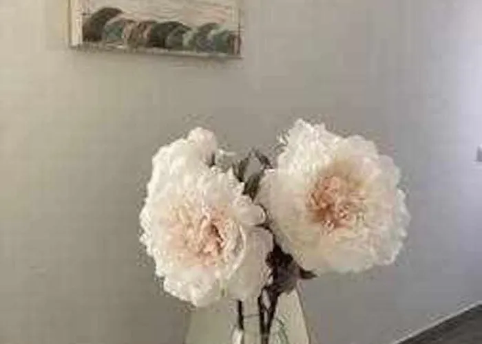 Precioso Atico En El Centro Historico De * Cádiz