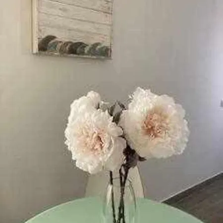 Precioso Atico En El Centro Historico De * 加的斯